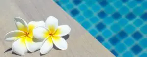Is a Swim Spa Right For Your Business?