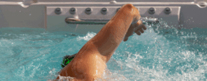 Swim spa benefits explained: A smarter way to stay fit at home