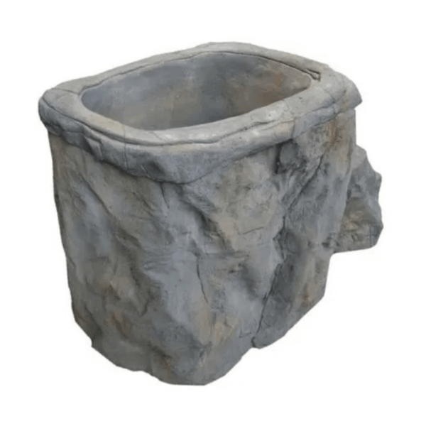 The Rock Cold Plunge