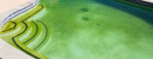 What You Can Do About Pool Water that Turned Green