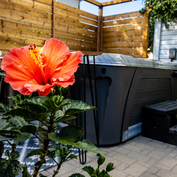 Hydropool Serenity 6800 hot tub with flower in foreground