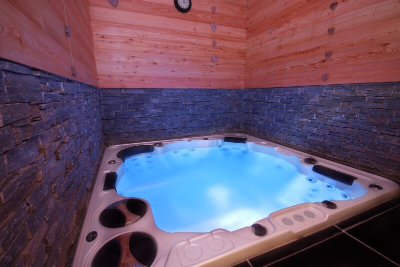 Hydropool Self Cleaning Hot Tub 790